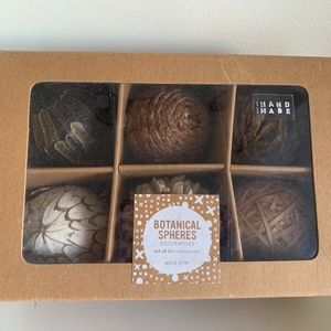 Woven Botanical Spheres